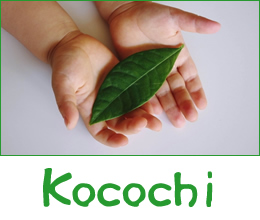 Kocochi
